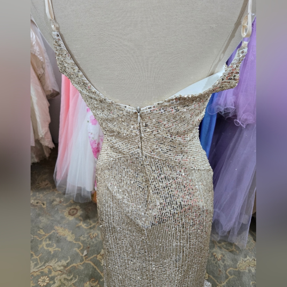Elegant Sequin Evening Gown - Picture 5 of 7